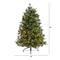 5ft. Pre-Lit Snowed Tipped Clermont Mixed Pine Artificial Christmas Tree, Clear Lights